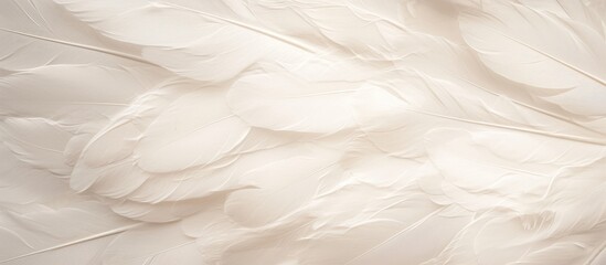 Soft Texture of White Fluffy Feathers on a Vintage Background Elegant Swan Feathers