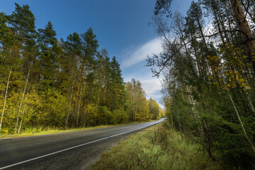 Obraz premium A road with trees on either side and a clear blue sky