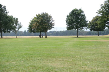 Obraz premium Green Field with Trees and People in the Distance