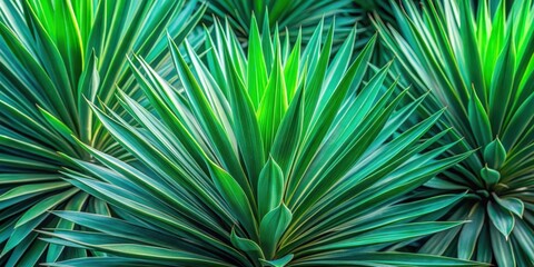 Fototapeta premium A Detailed Close Up of a Green Tropical Plant with Vivid Texture and Striking Geometric Shapes