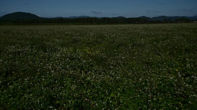湖西線強風のため米原経由で迂回運転する特急サンダーバード （北陸本線 虎姫 - 河毛, 2024年10月）