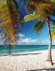 Obraz premium Tropical Beach Paradise with Palm Trees and Clear Blue Sky