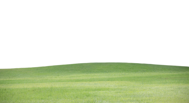 Green grass field on transparent background (PNG File)