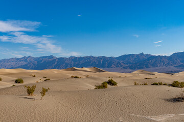メスキートフラット砂丘 Mesquite Flat Sand Dunes