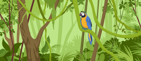 Tropical jungle landscape with Ara macaw sitting on green liana hanging from tree branch. Exotic nature scene and parrot with blue and yellow feathers of tail and wings cartoon vector illustration © Natalia