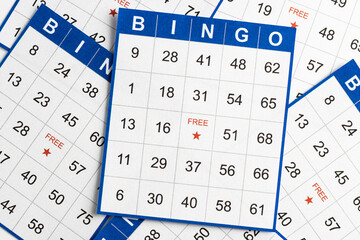 Blue and white bingo game cards.