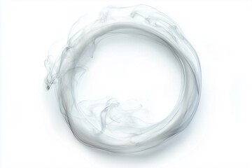 A circular formation of delicate, wispy strands resembling smoke or ethereal wisps, set against a plain background.