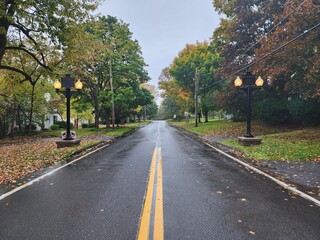 road in autumn