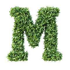 Vibrant green foliage artfully arranged to form the letter M. A nature-inspired letter perfect for eco-themed projects.