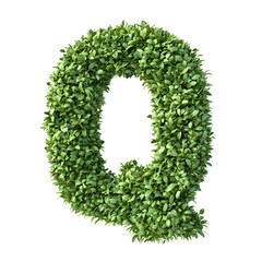 Lush green foliage forms the letter Q, creating a vibrant and eco-friendly design element. Perfect for nature-themed projects!