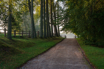 The country road to the Mikhailovskoye estate along the Festive glade on the territory of the...