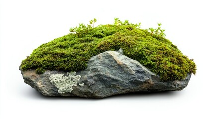 Lush Green Moss and Lichen Covered Rock Displaying Nature's Beauty and Ecological Balance in a Minimalist Style on White Background