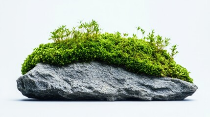 Fototapeta premium Lush Green Moss with Vibrant Foliage Growing on a Textured Stone Against a Minimalist Background, Perfect for Nature and Sustainability Themes