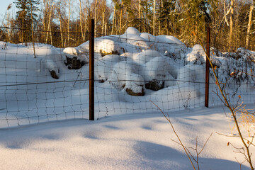 Winter landscape with a chain-link fence in a forest area covered with snow