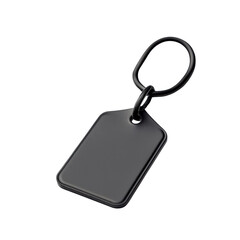 Fototapeta premium Simple black key tag on a ring