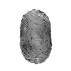 Detailed close-up of a fingerprint texture