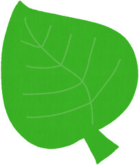 Fototapeta premium 나뭇잎