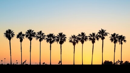 Obraz premium 南国の夕方と夕日