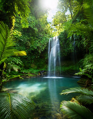 A stunning waterfall cascades through a lush, green rainforest, with sunlight filtering through the canopy