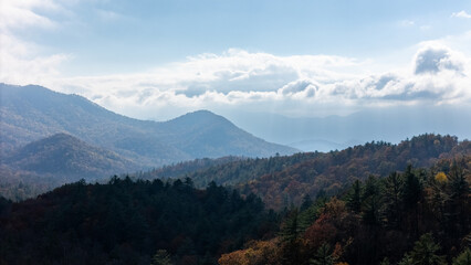 Fototapeta premium aerial photo of autumn at Atlanta