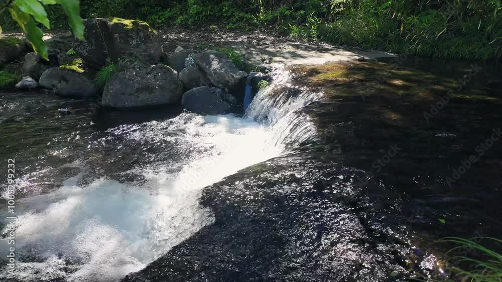 Aufkleber 渓流、小川、清流、自然、環境、流れる、滝、せせらぎ、湧水、渓谷、水辺、川辺、釣り、植物、水飛沫、水源、水資源、源流、上流、爽やか、癒し、リラックス、風景、河川、景色、日本、水滴、屋外、アウトドア、レジ