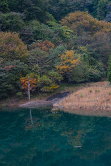 紅葉と湖