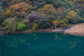 紅葉と湖