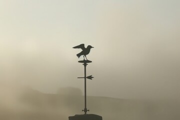 Obraz premium Silhouette of a Weather Vane Surrounded by Thick Smog with a Bird Design, Representing Unclear Conditions and Atmospheric Changes at Dawn or Dusk