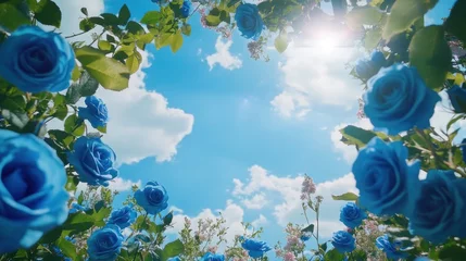 Blue roses set against sunny blue sky with blooming flowers. © Postproduction