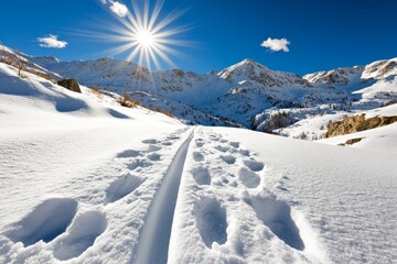 Obraz premium Minimalist graphic of sled runners and snow tracks, clean and modern style