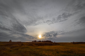 Panorama of a yellow fall field in overcast weather.