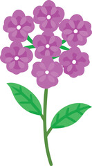 Cluster of purple flowers with green leaves, Vector illustration of a floral cluster featuring multiple purple flowers with simple petals, supported by a green stem and two leaves.
