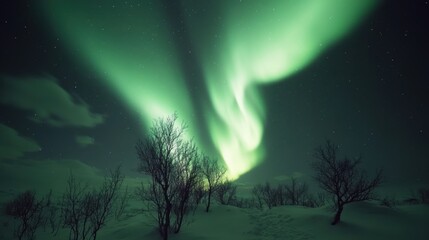 The breathtaking view of the Northern Lights from the Arctic tundra, Aurora scene, Ethereal style
