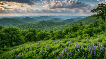 Shenandoah national park in spring with wildflowers and vibrant greenery covering the rolling hills, Ai Generated