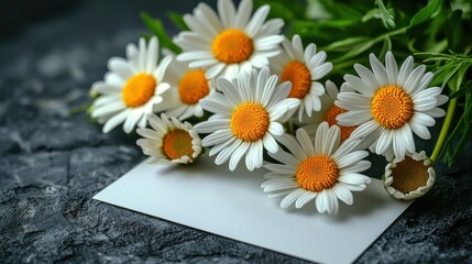 Obraz premium Beautiful Daisies Bouquet with Blank Card Note