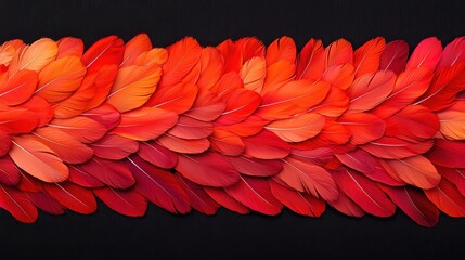 Vibrant red feather arrangement creative studio still life art colorful presentation close-up perspective nature inspiration