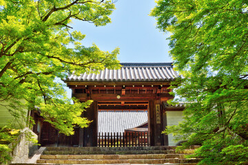 曼殊院門跡の勅使門