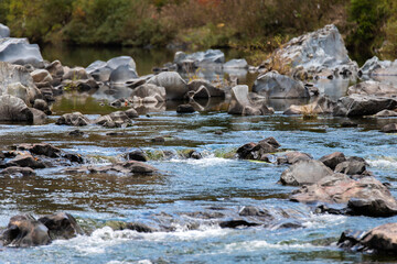 rocks and flowing water in the autumn stream