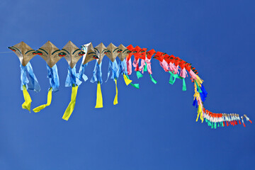 Kites of various colors and patterns float in the sky, creating a beautiful sky backdrop 