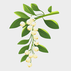 Obraz premium Detailed Illustration of a Green Branch with White Berries and Leaves on a Light Background for Nature and Botanical Themes