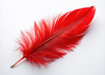 Stunning Close-Up Drone Photography of a Red Feather on a Crisp White Background - Nature's Beauty in Focus, Perfect for Minimalist Decor and Artistic Projects