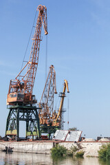 Harbor cranes stand on the river coast on a sunny day