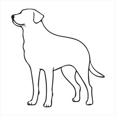 Fototapeta premium dog black silhouettes collection,dog breed vector illustration bundle white background