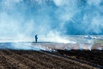 野焼きされた田んぼ