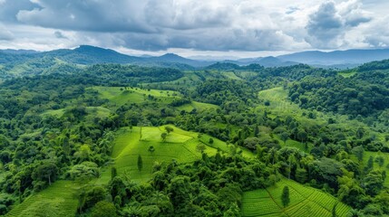 Obraz premium Serene Green Valley: Aerial view of lush green valley, rolling hills, and dense forest under a dramatic sky. Perfect for travel, nature, and environmental themes. 