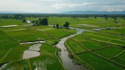 Serene River Valley: An aerial view of a lush, verdant landscape in Southeast Asia, featuring a winding river flowing through rice paddies and a tranquil countryside.