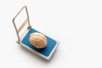 Miniature human brain on a trolley. Replica of human organs.