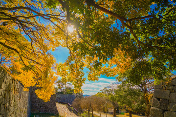 広がる秋の光景と歴史的な石垣