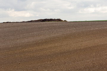 A lot of manure has been brought to the field. Fertilizing before planting. Preparing the soil for the fields