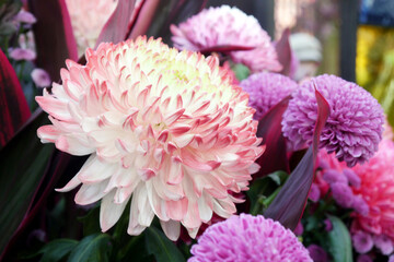 Bonsai art based on chrysanthemums in red colors.